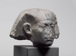 Head from a sphinx of Senwosret III 