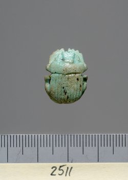 Mumienskarabäus