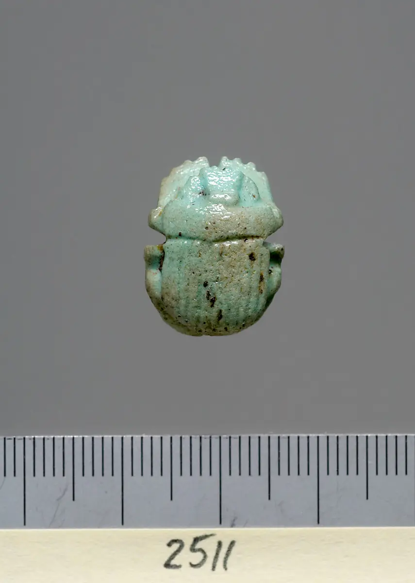 Mumienskarabäus