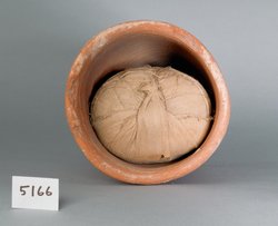 Ibismumie in kegelförmigem Tongefäß