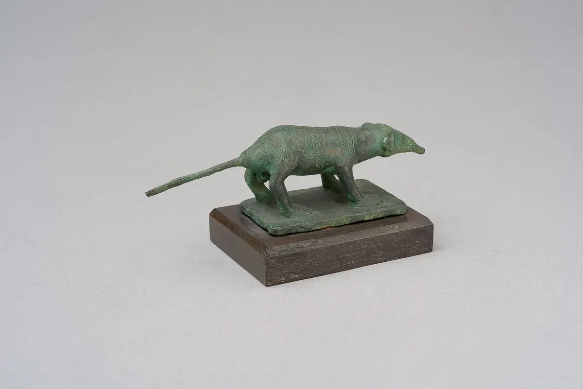 Spitzmaus