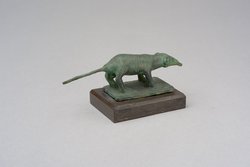 Spitzmaus