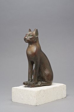 Sitzende Katze