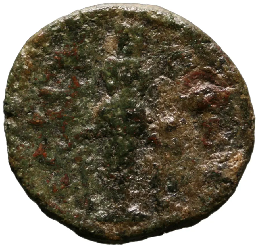 Bargasa: Commodus