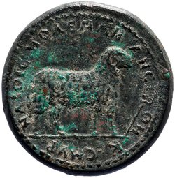 Smyrna: Antinous
