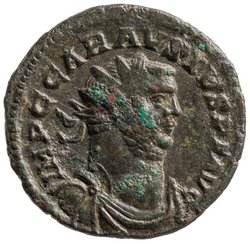 Carausius