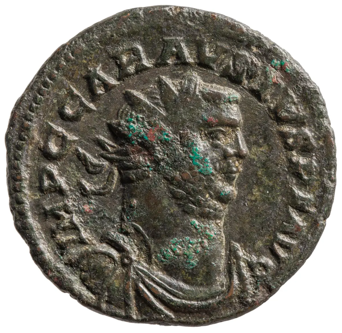 Carausius