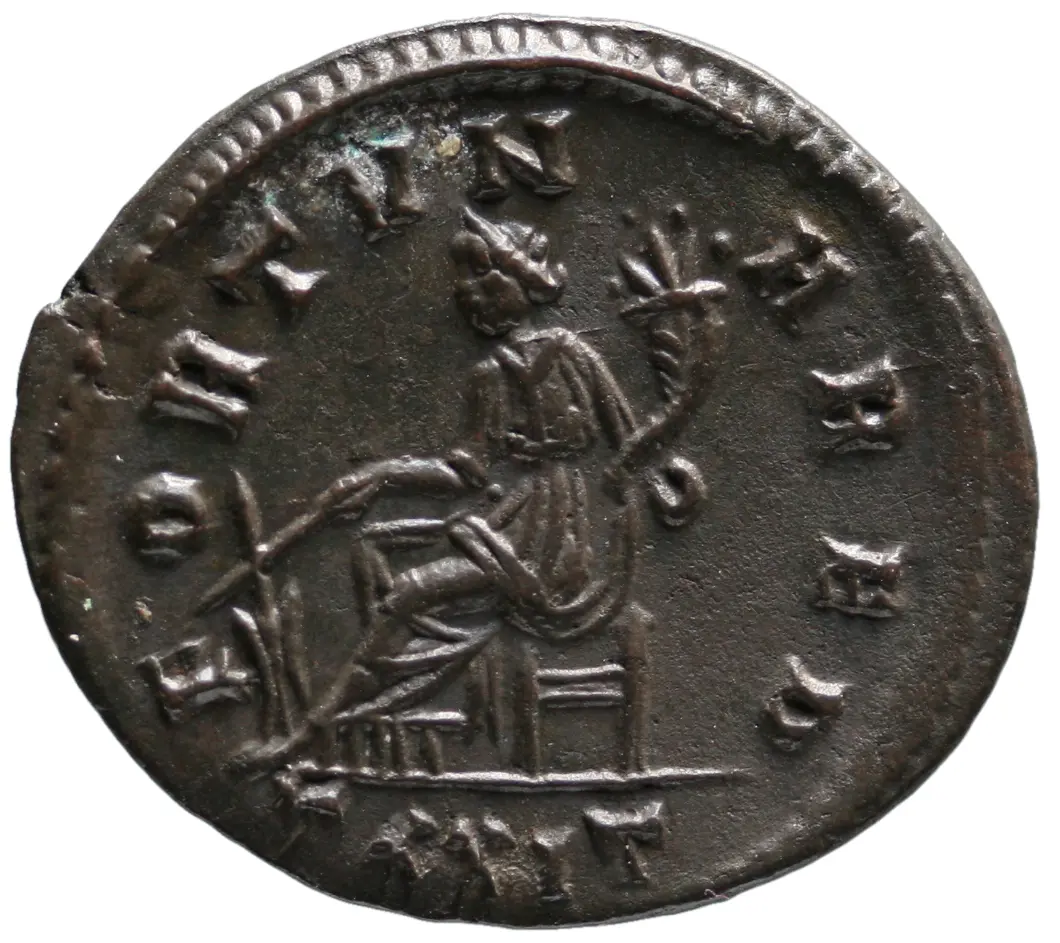Carinus