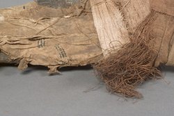 Großes Krokodil