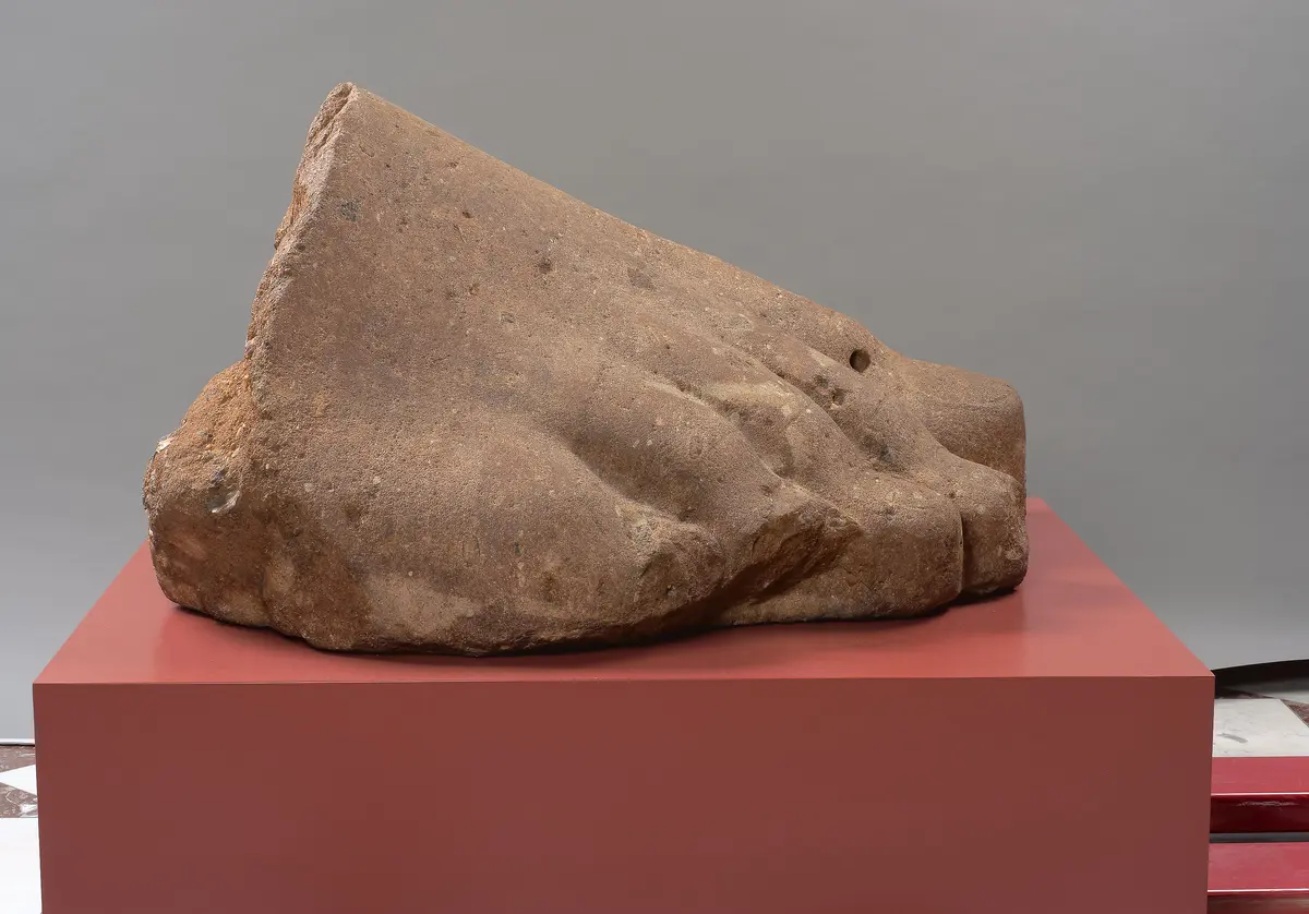 Rechter Vorderfuß einer Kolossalstatue