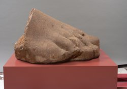 Rechter Vorderfuß einer Kolossalstatue