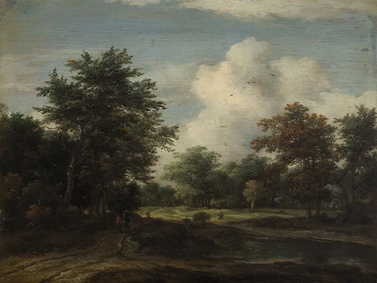 Kleine Waldlandschaft