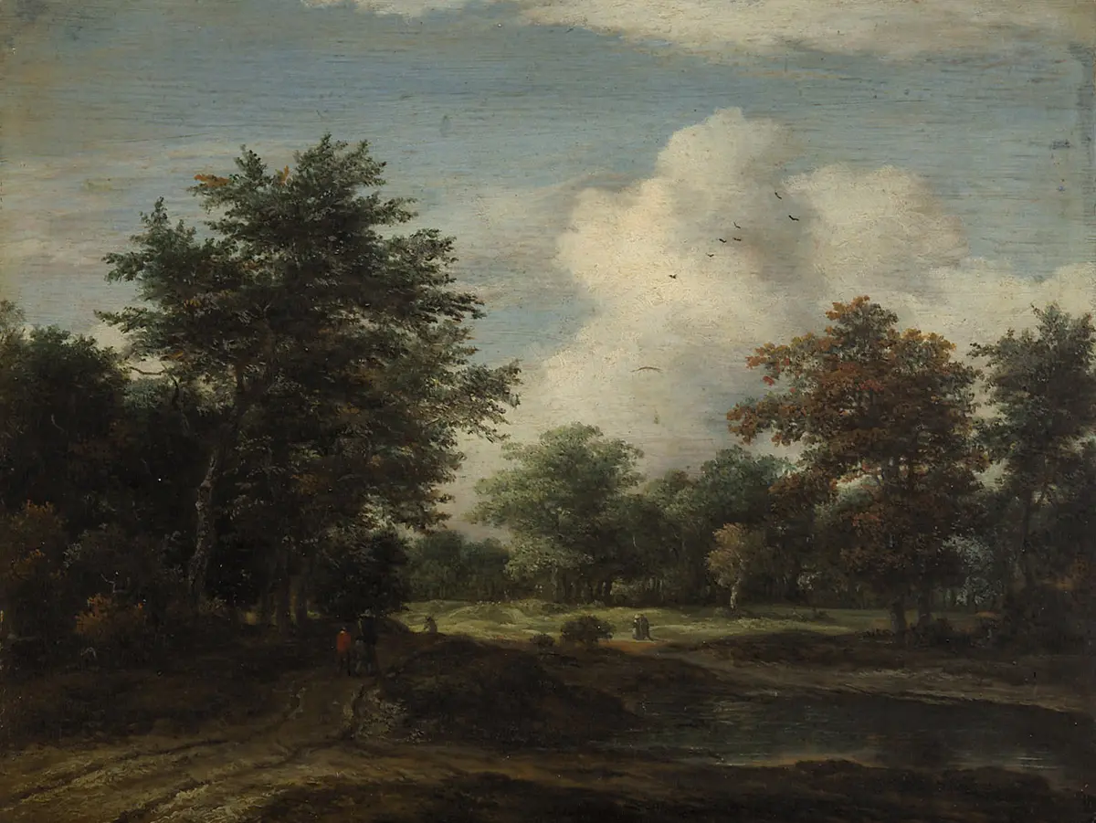Kleine Waldlandschaft