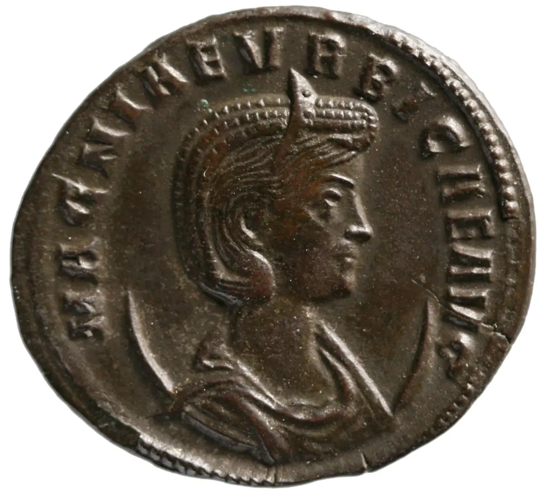 Magnia Urbica