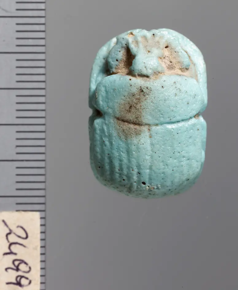Mumienskarabäus
