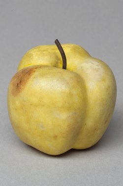 Marmorfrüchte