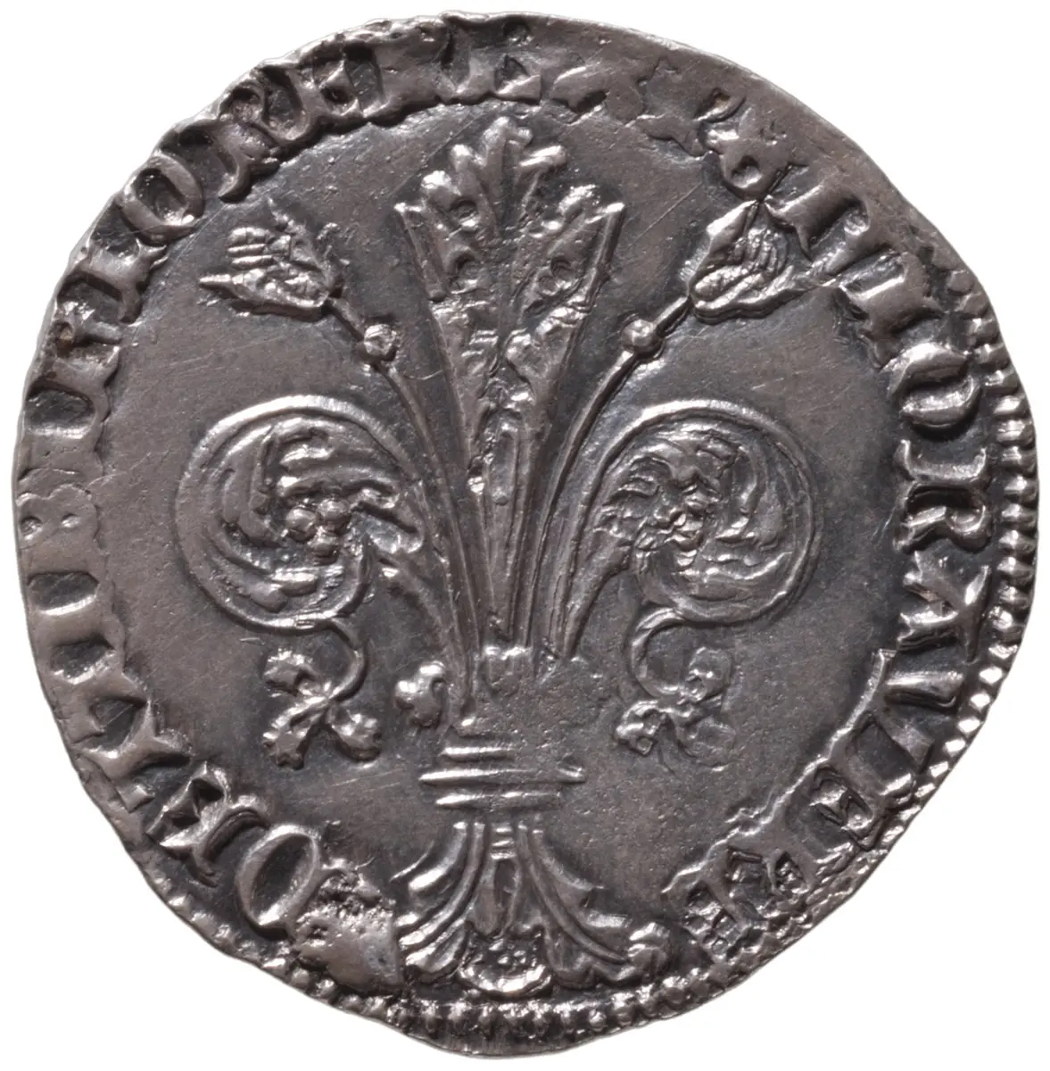Florenz: Stadt