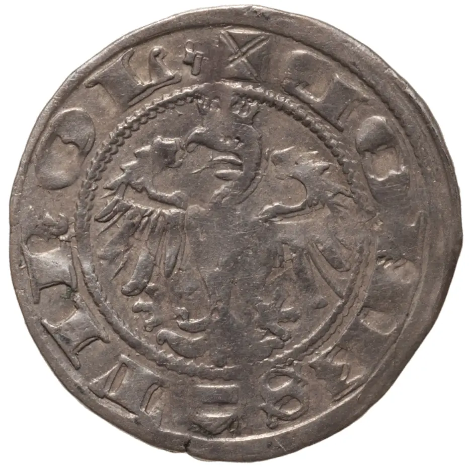 Grafen von Tirol: Sigismund (1439–1496)