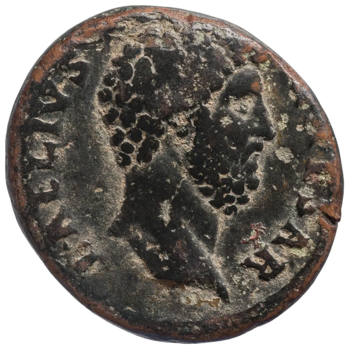 Lucius Aelius