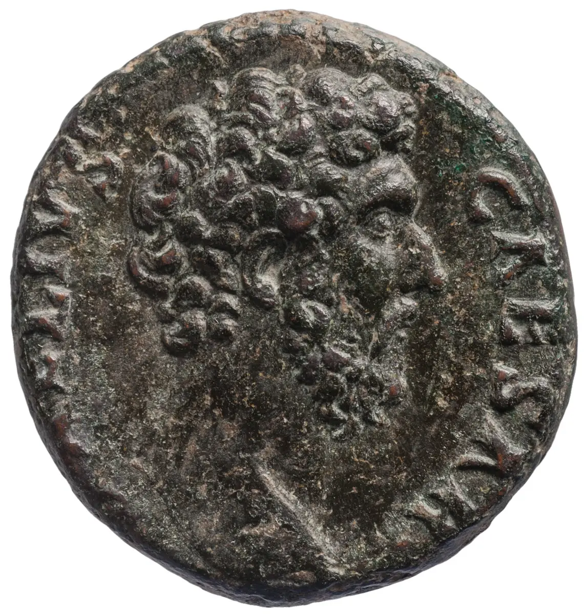 Lucius Aelius