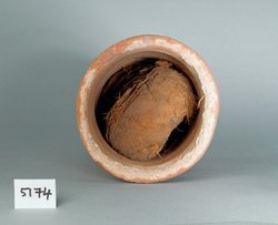 Ibismumie in kegelförmigem Tongefäß, mit Deckel