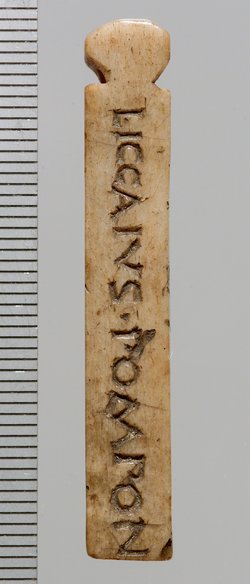 Tessera nummularia