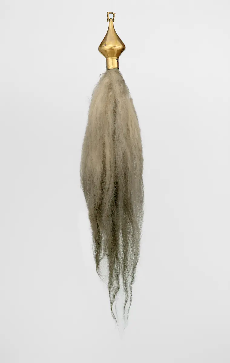 Großer Pferde-Kehlbehang