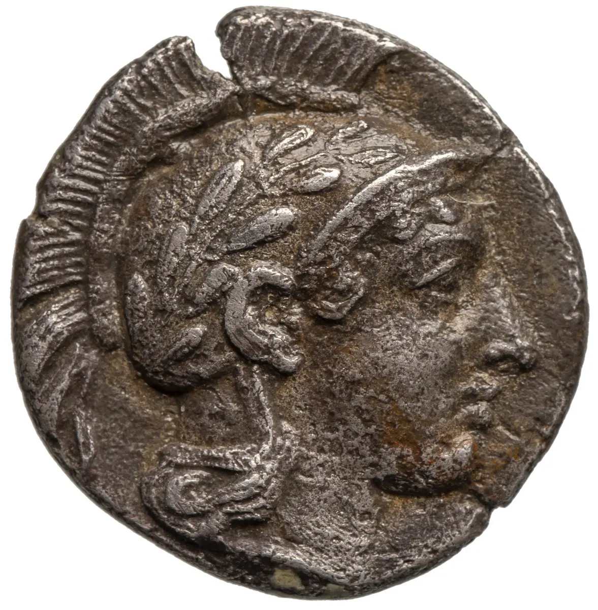 Sybaris