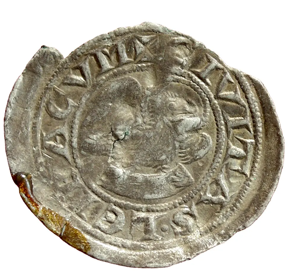 Herzöge von Kärnten: Bernhard (1202–1256)