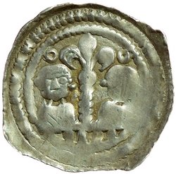 Herzöge von Kärnten / Herren von Krain: Bernhard (1202–1256)