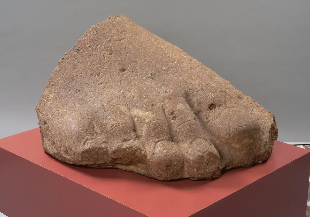 Rechter Vorderfuß einer Kolossalstatue