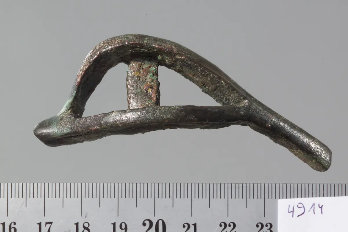 Sargfragment (?): Auge