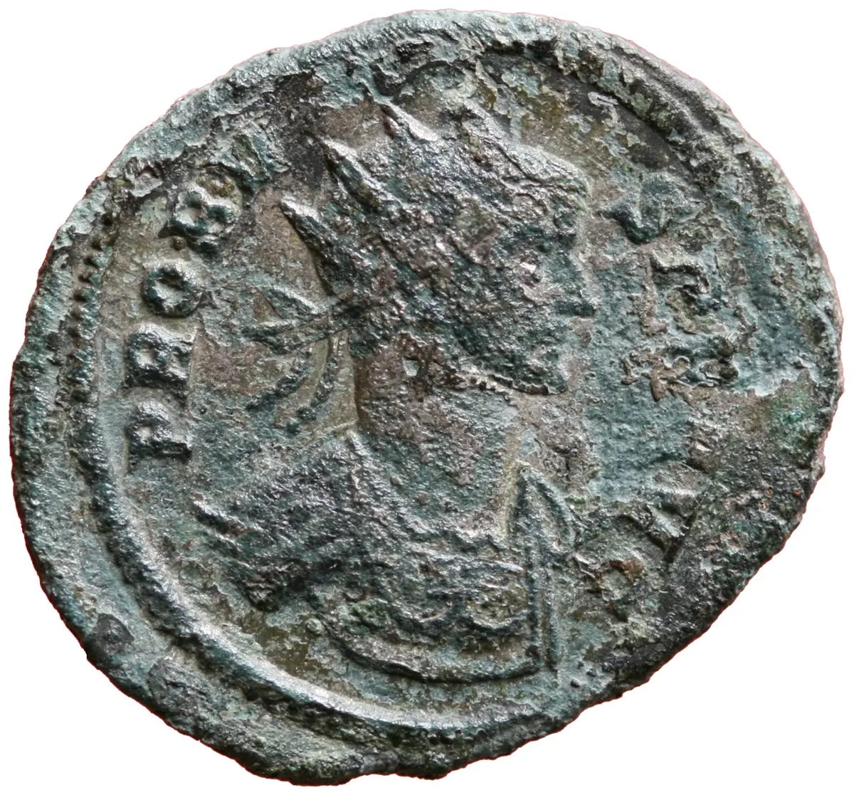 Probus