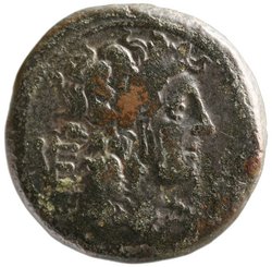 Venusia