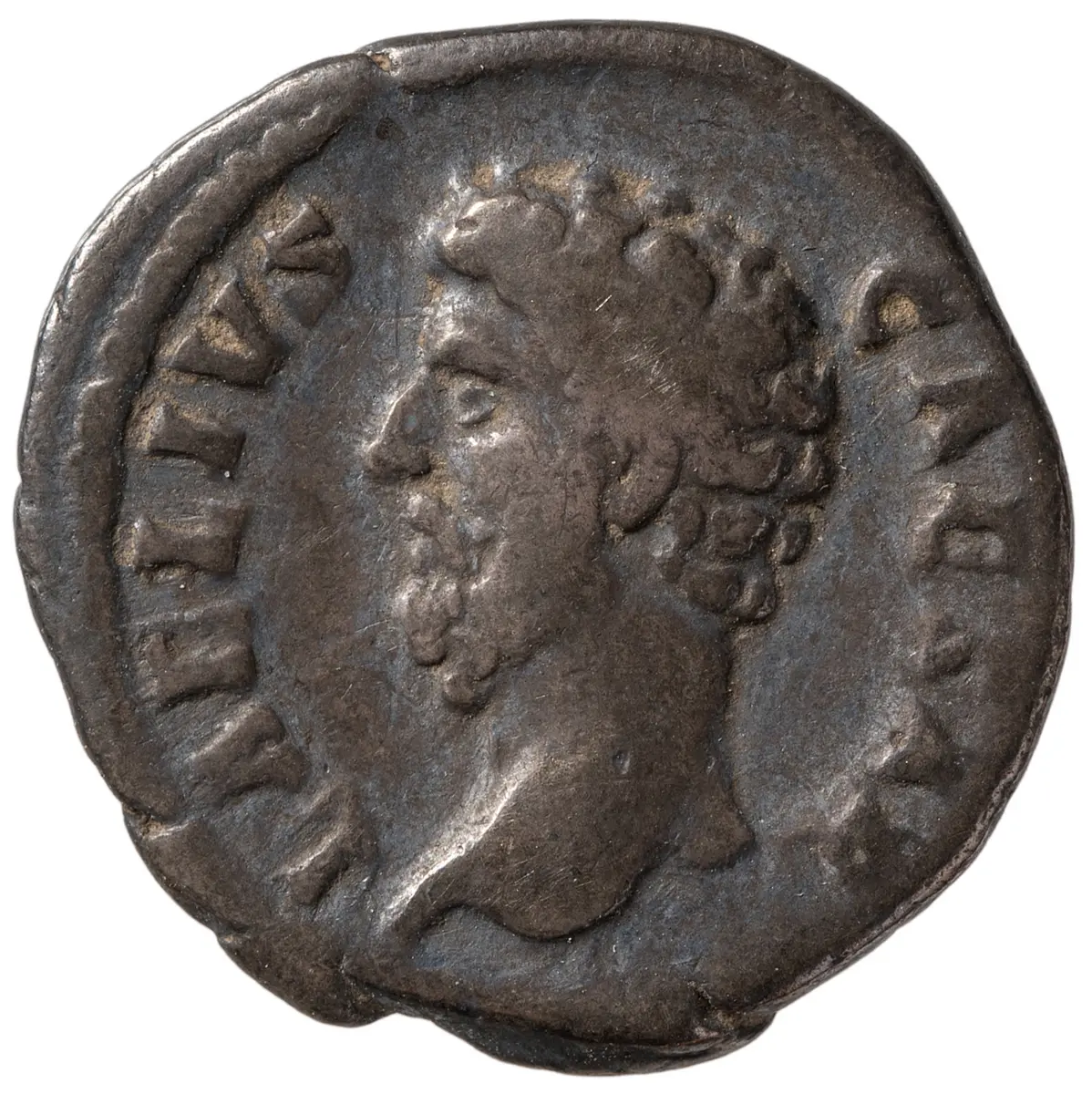 Lucius Aelius