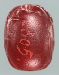 Löwe in Angriffsstellung