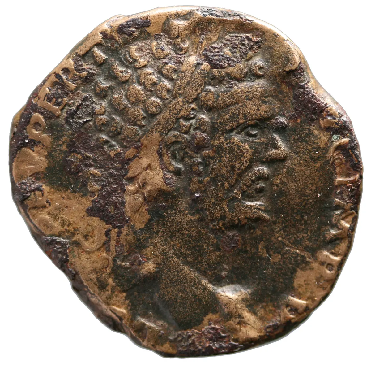 Septimius Severus (Falsum)