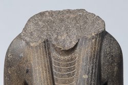 Weiblicher Torso