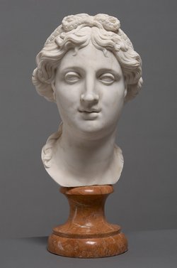 Kopf einer Frau
