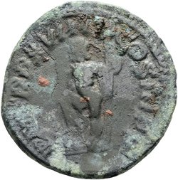 Septimius Severus (Falsum)