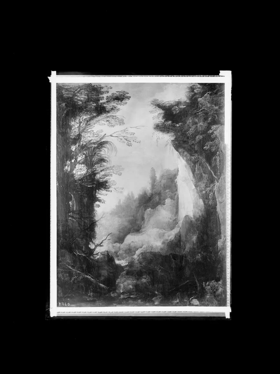 Waldige Felsschlucht