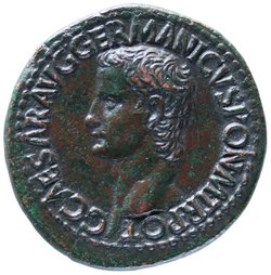 Caius