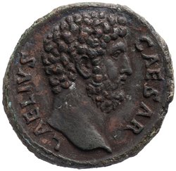 Lucius Aelius