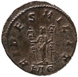 Carinus