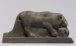 Löwe, der ein Rind reißt