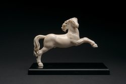 Galoppierendes Pferd