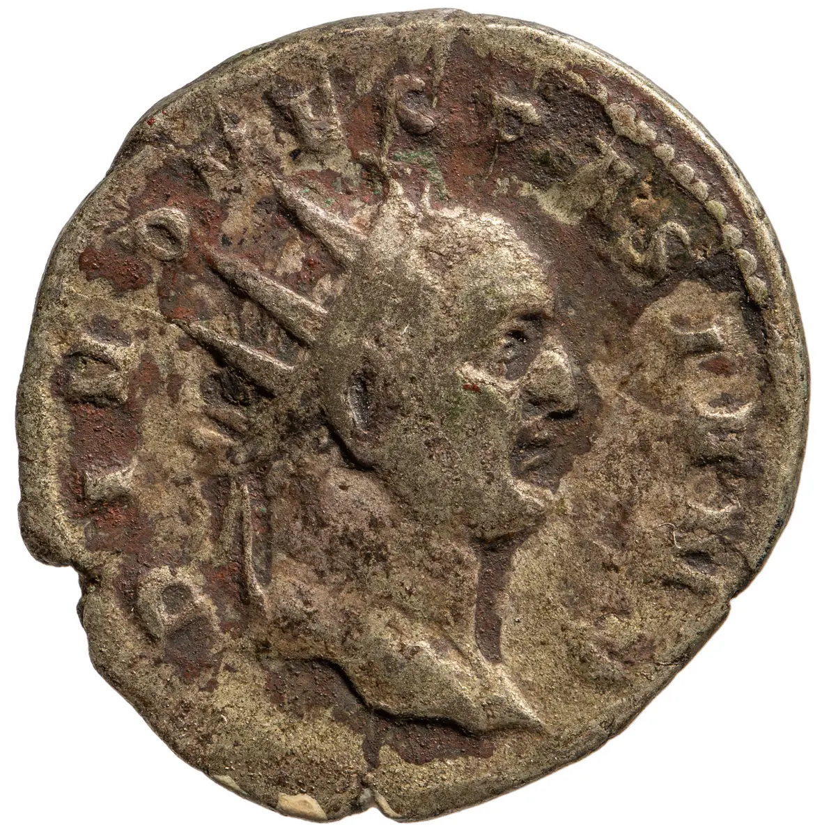 Divus Vespasianus