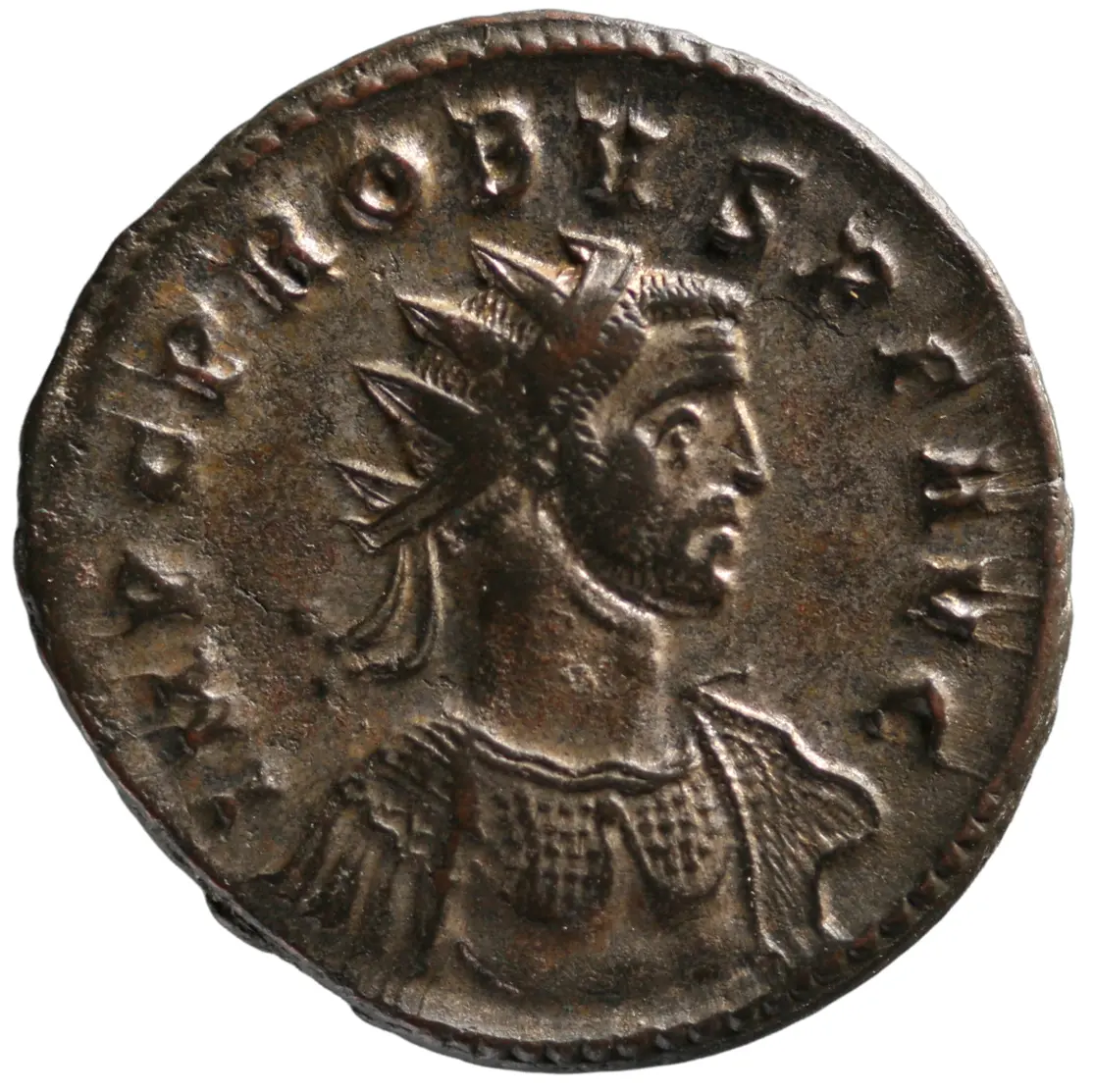 Probus