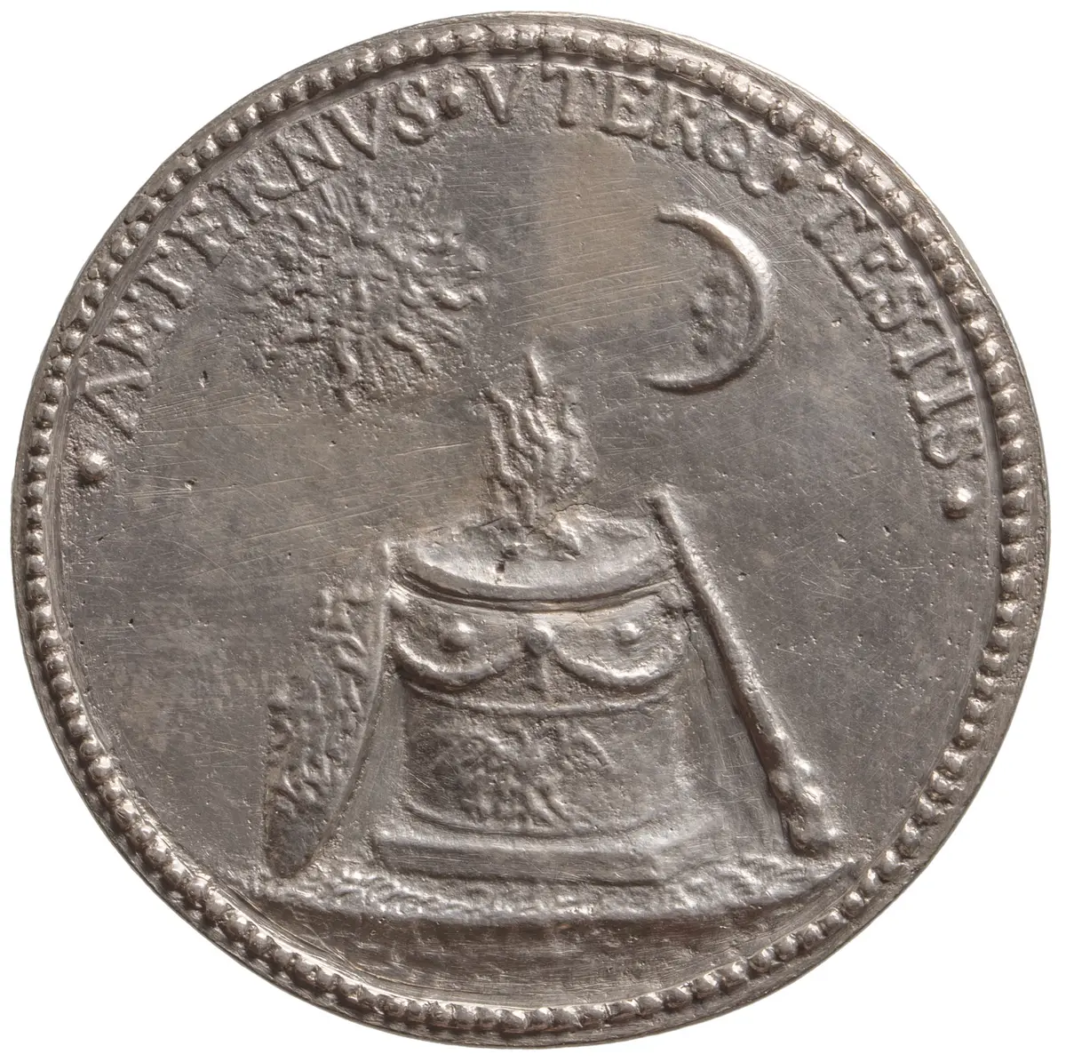 Habsburg: Erzherzog Albrecht VII.