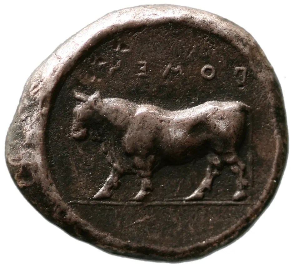 Poseidonia